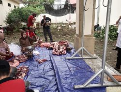 Pemkab Sumenep Bagi-bagi Hewan Kurban, Anak Yatim dan Fakir Miskin Jadi Sasaran