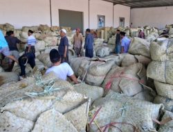 Serap Ribuan Tenaga Kerja, Industri Rokok Lokal di Madura Picu Lonjakan Ekonomi